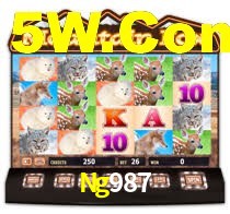 Ng987