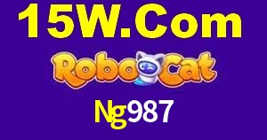 Tournaments Ng987